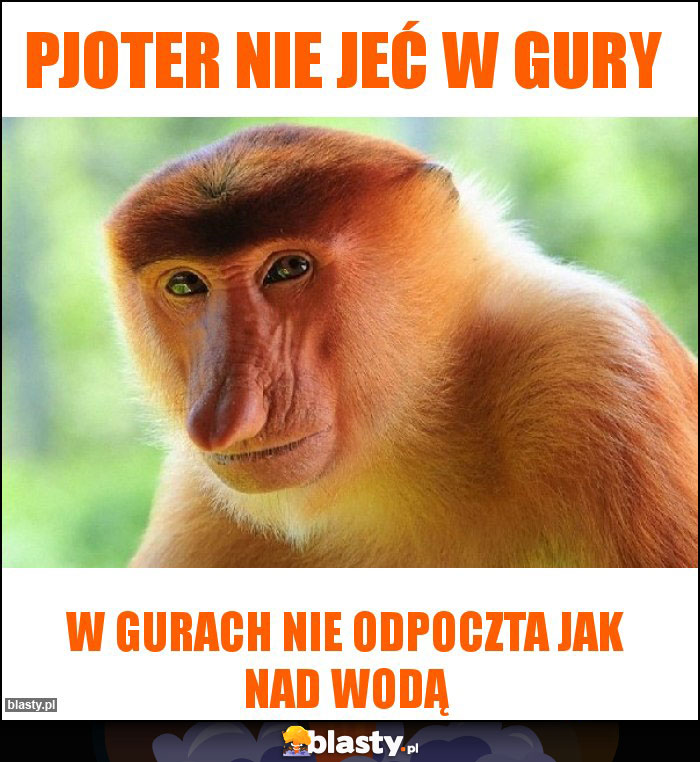 Pjoter nie jeć w gury