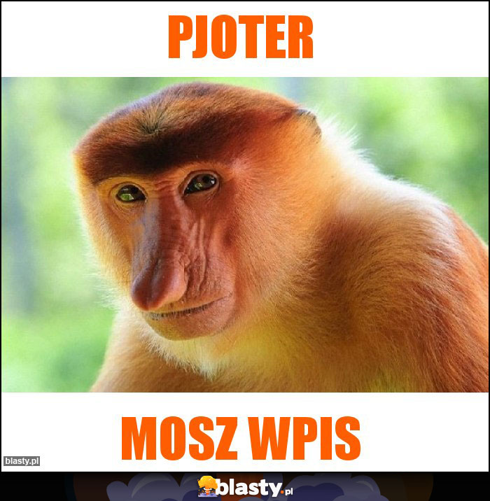 Pjoter