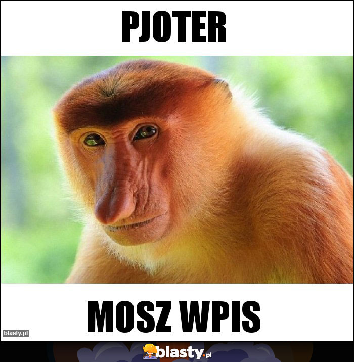 Pjoter