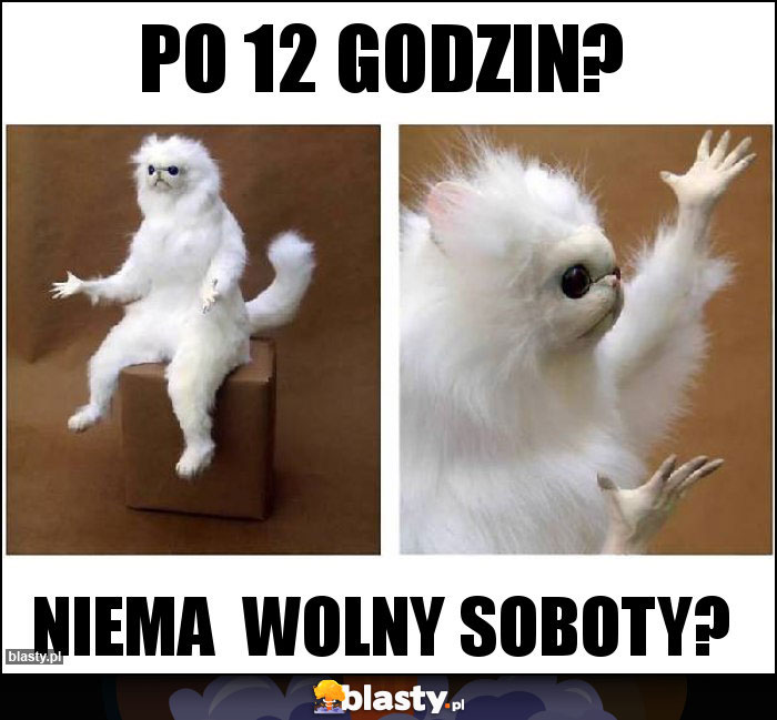 Po 12 godzin? Po 12 godzin?