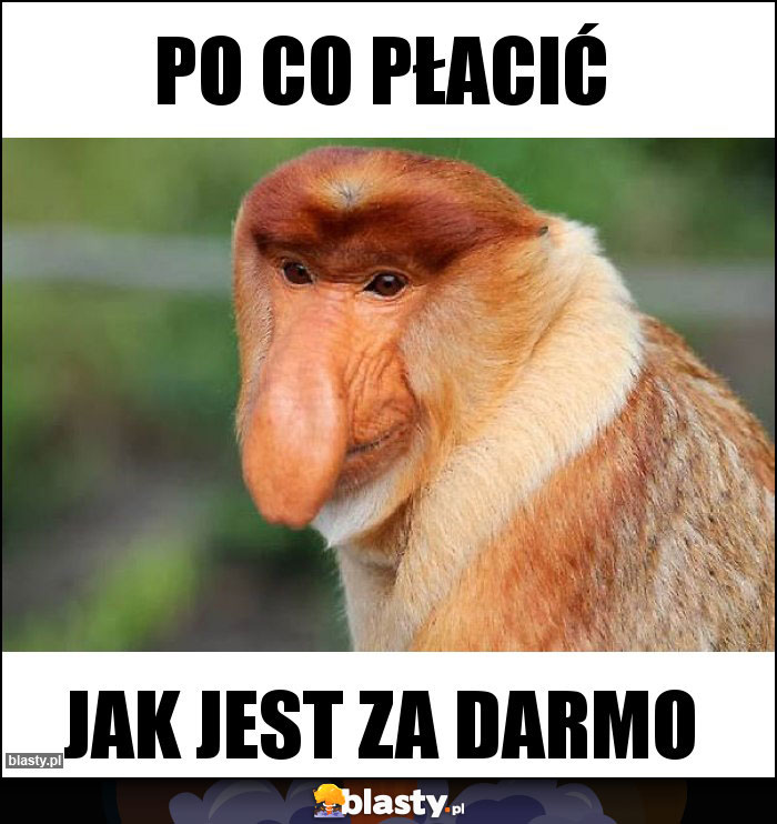 PO CO PŁACIĆ PO CO PŁACIĆ