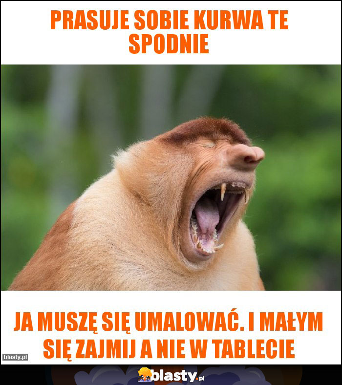 Prasuje sobie kurwa te spodnie Prasuje sobie kurwa te spodnie