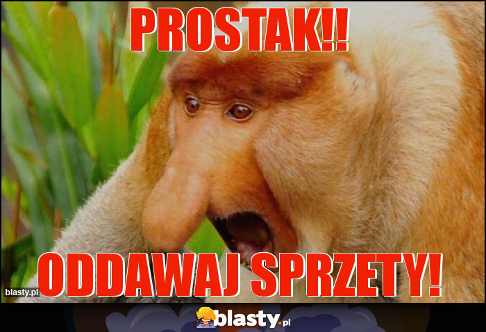 prostak!!