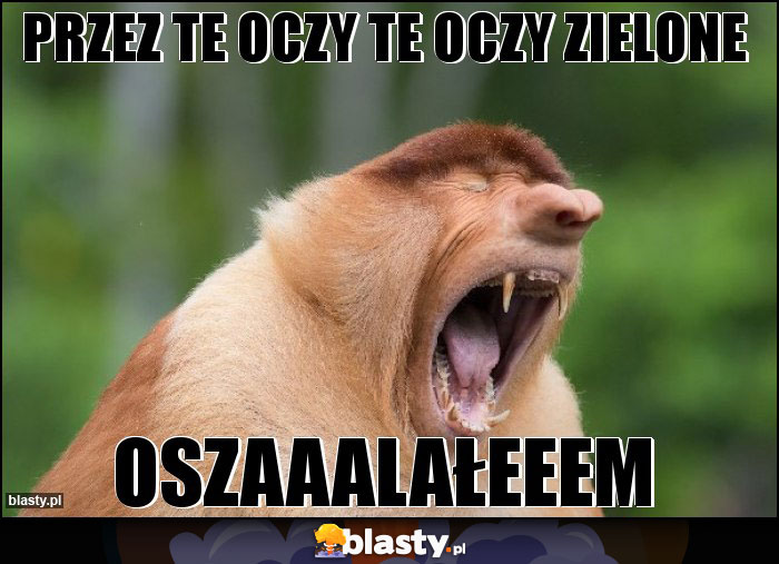 Przez TE OCZY TE OCZY ZIELONE Przez TE OCZY TE OCZY ZIELONE