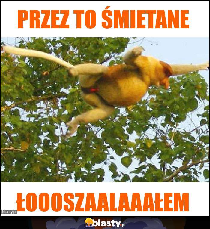 Przez to śmietane Przez to śmietane
