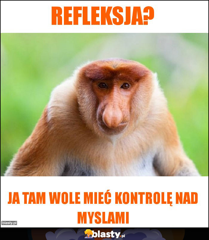 Refleksja?