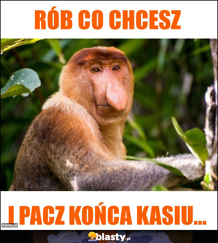 Rób co chcesz Rób co chcesz