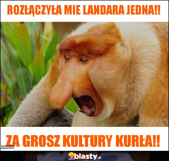rozłączyła mie landara jedna!! rozłączyła mie landara jedna!!