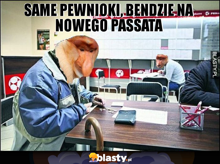 Same pewnioki, bendzie na nowego passata