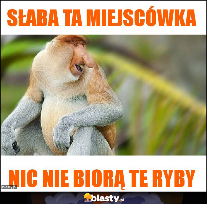 Słaba ta miejscówka Słaba ta miejscówka