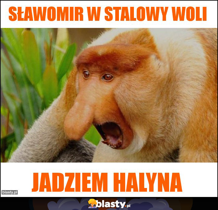 Sławomir w stalowy woli Sławomir w stalowy woli