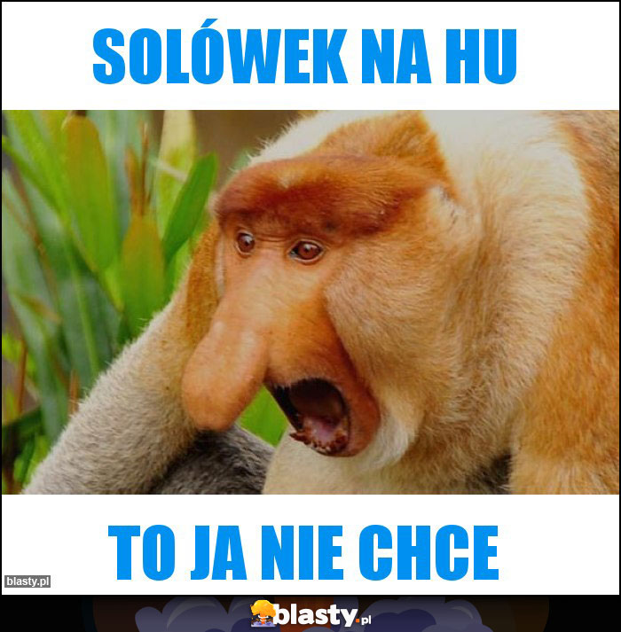 SOLÓWEK NA HU SOLÓWEK NA HU