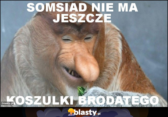 somsiad nie ma jeszcze somsiad nie ma jeszcze
