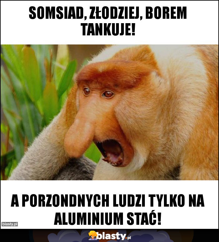 Somsiad, złodziej, borem tankuje! Somsiad, złodziej, borem tankuje!