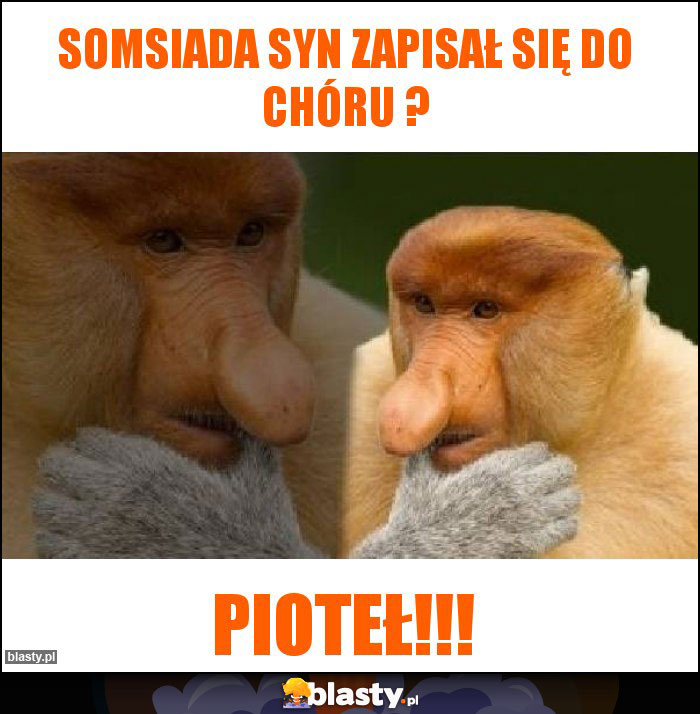 Somsiada syn zapisał się do chóru ? Somsiada syn zapisał się do chóru ?