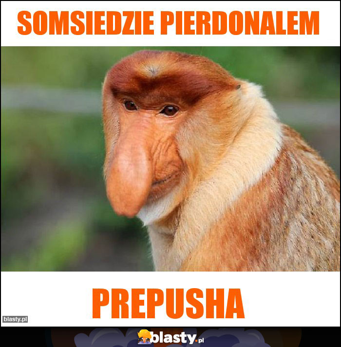 Somsiedzie pierdonalem Somsiedzie pierdonalem