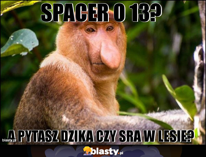 Spacer o 13? Spacer o 13?