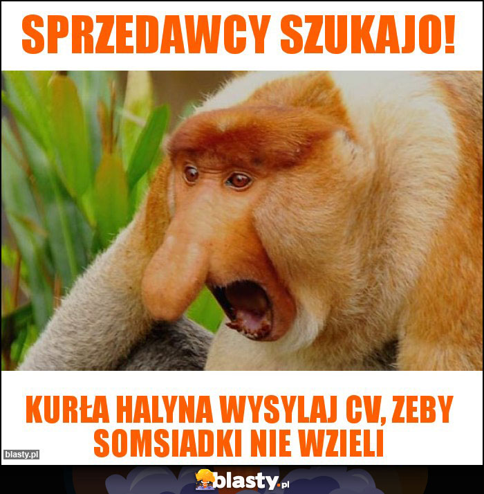 Sprzedawcy szukajo! Sprzedawcy szukajo!