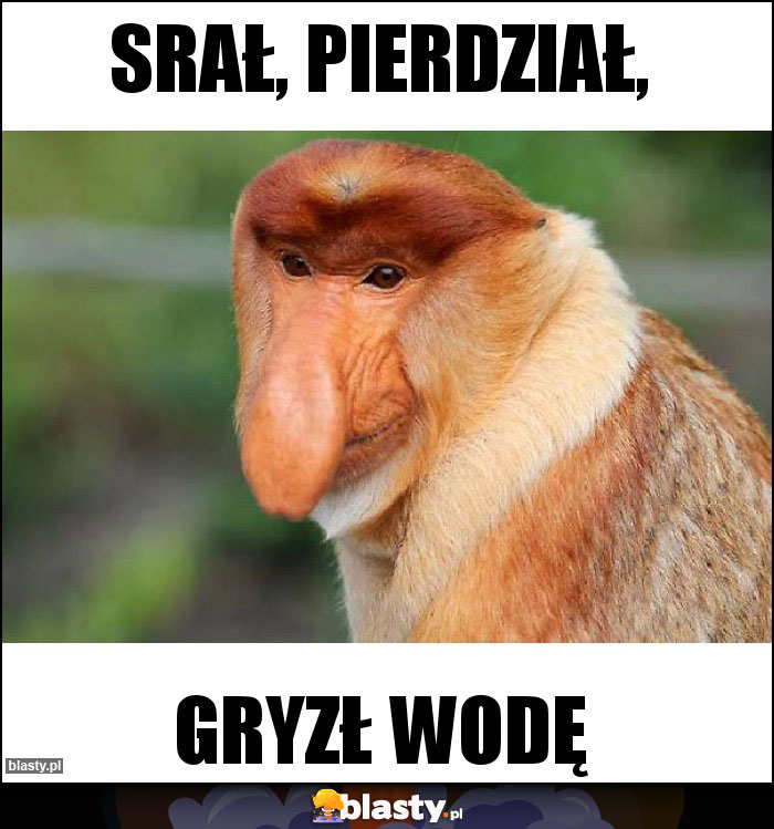 SRAŁ, PIERDZIAŁ, SRAŁ, PIERDZIAŁ,