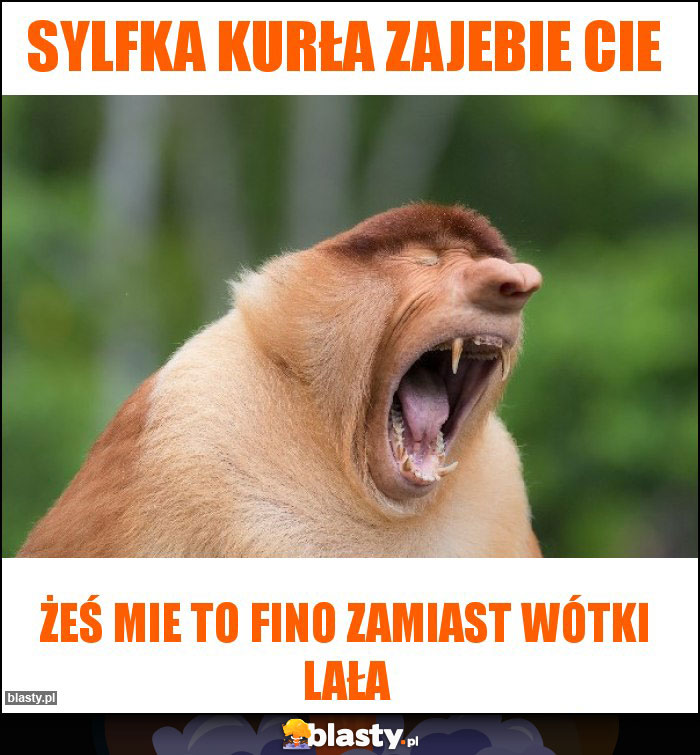 Sylfka kurła zajebie cie Sylfka kurła zajebie cie