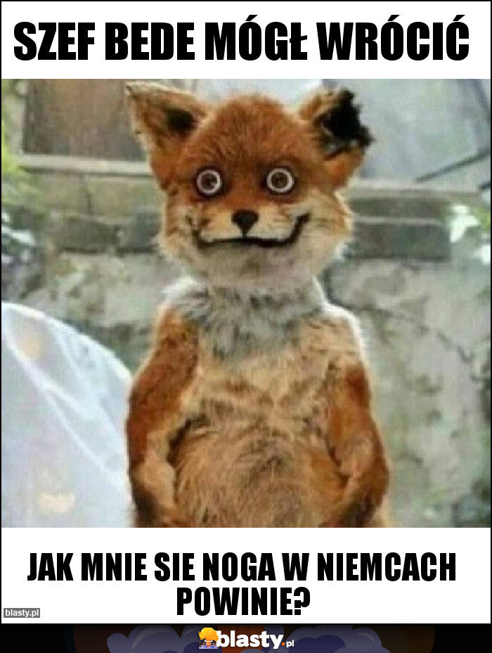 Szef Bede mógł wrócić Szef Bede mógł wrócić