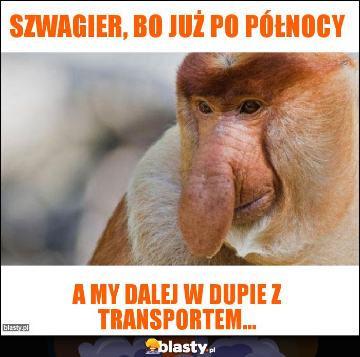 szwagier, bo już po północy szwagier, bo już po północy