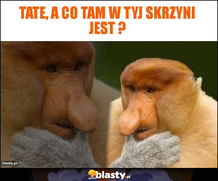 Tate, a co tam w tyj skrzyni jest ? Tate, a co tam w tyj skrzyni jest ?