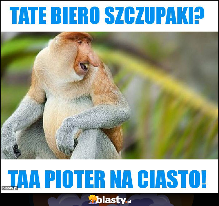 tate biero szczupaki?