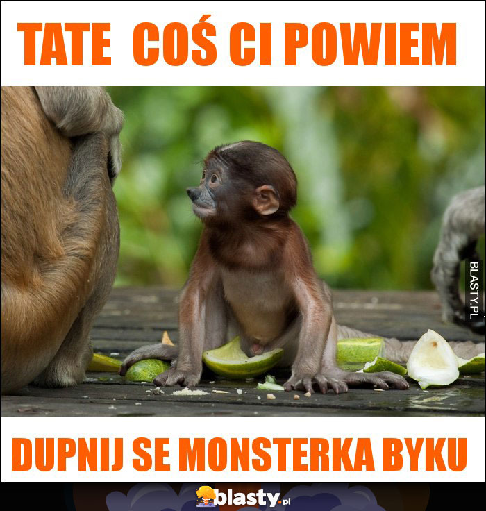 TATE COŚ CI POWIEM TATE COŚ CI POWIEM