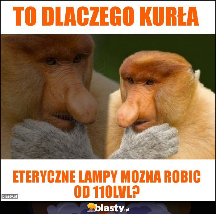 To dlaczego kurła To dlaczego kurła