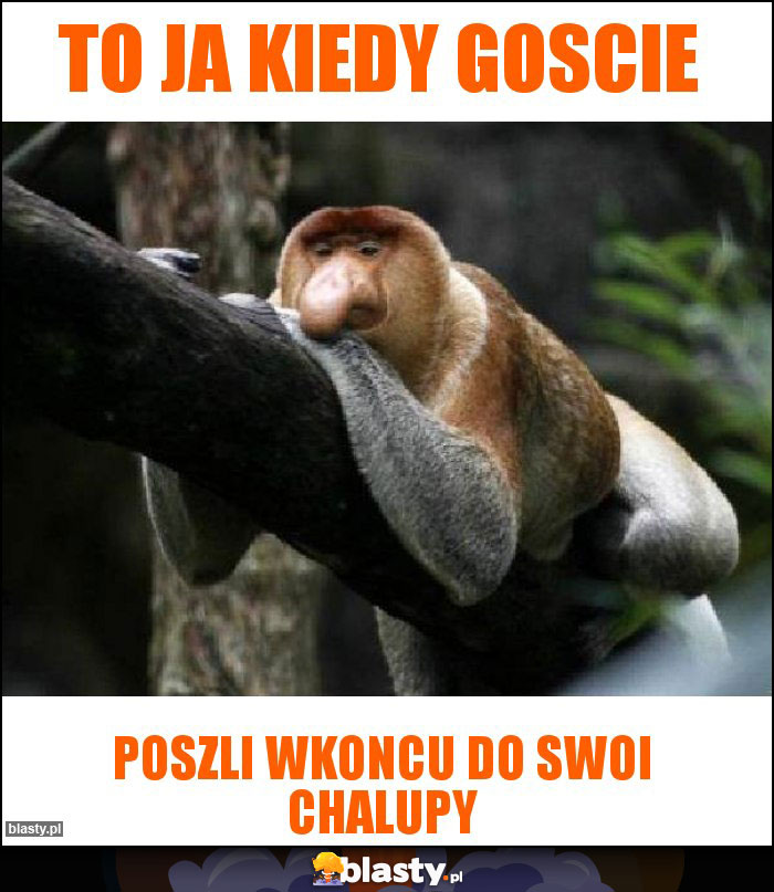 To ja kiedy goscie To ja kiedy goscie
