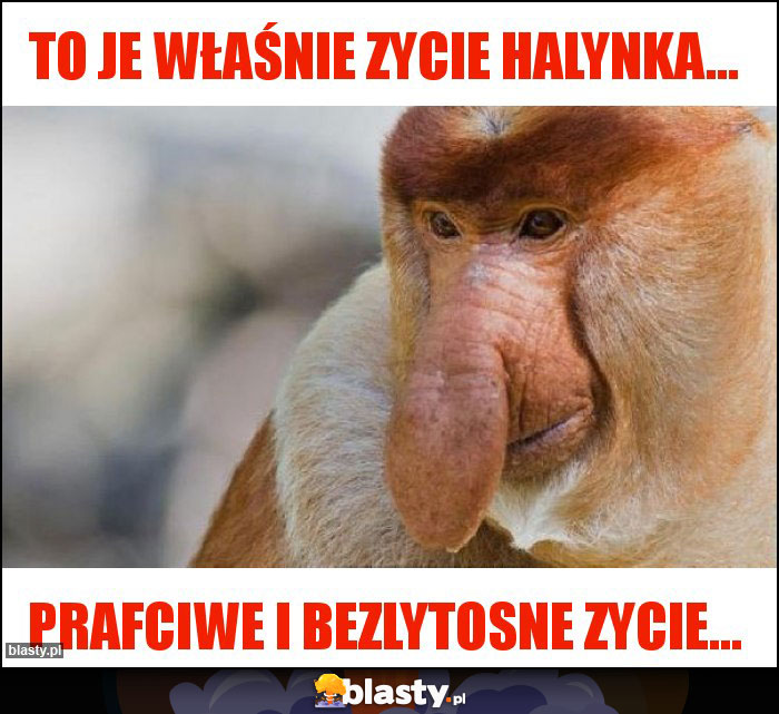 To je właśnie zycie halynka... To je właśnie zycie halynka...