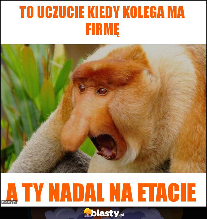 To uczucie kiedy kolega ma firmę To uczucie kiedy kolega ma firmę