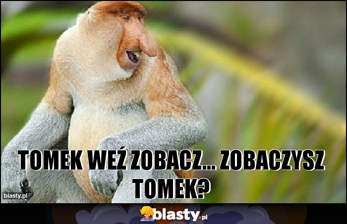 Tomek weź zobacz... Zobaczysz tomek? Tomek weź zobacz... Zobaczysz tomek?