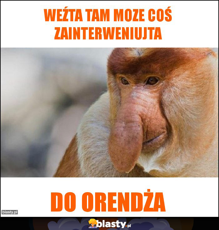 Weźta tam moze coś zainterweniujta Weźta tam moze coś zainterweniujta