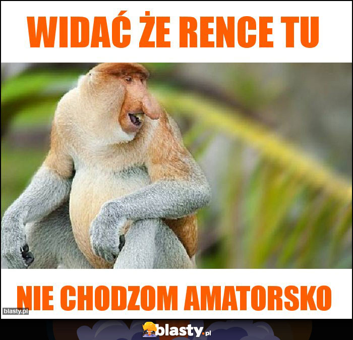 Widać że rence tu Widać że rence tu