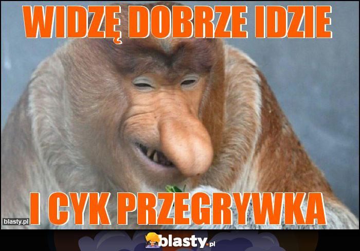 WIDZĘ DOBRZE IDZIE WIDZĘ DOBRZE IDZIE