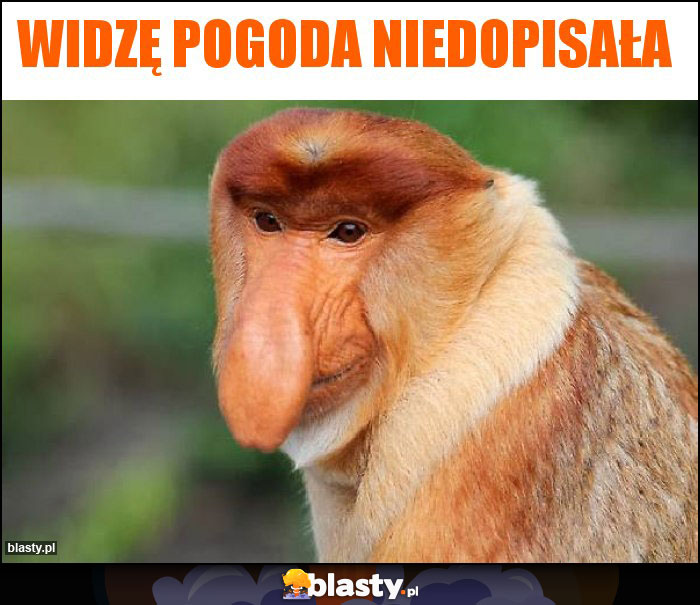 Widzę pogoda niedopisała Widzę pogoda niedopisała