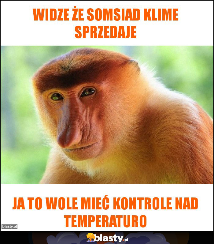 widze że somsiad klime sprzedaje widze że somsiad klime sprzedaje