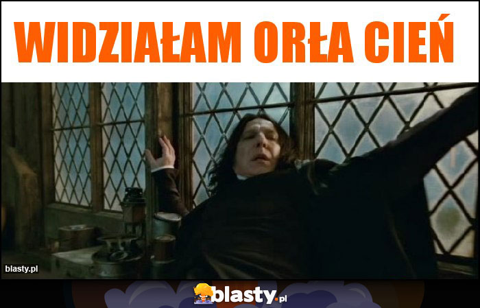 Widziałam orła cień Widziałam orła cień
