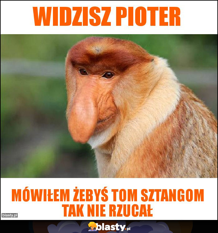 Widzisz pioter Widzisz pioter
