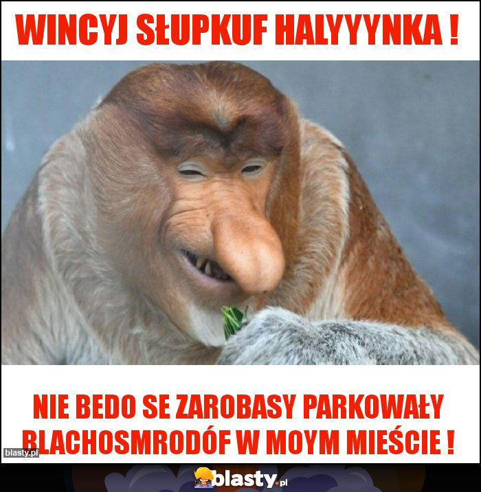 WINCYJ SŁUPKUF HALYYYNKA ! WINCYJ SŁUPKUF HALYYYNKA !
