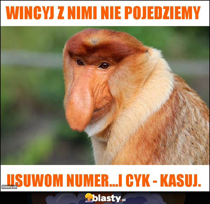 wincyj z nimi nie pojedziemy wincyj z nimi nie pojedziemy