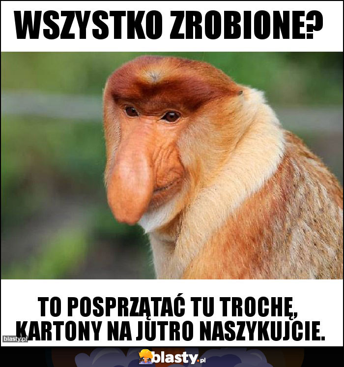Wszystko zrobione? Wszystko zrobione?