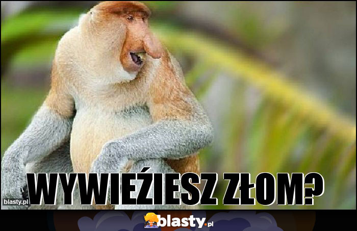 wywieźiesz złom? wywieźiesz złom?