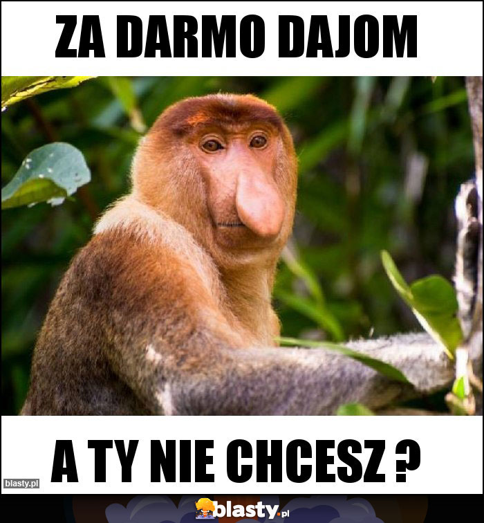 ZA DARMO DAJOM ZA DARMO DAJOM