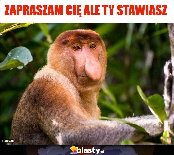 Zapraszam Cię ale Ty stawiasz Zapraszam Cię ale Ty stawiasz