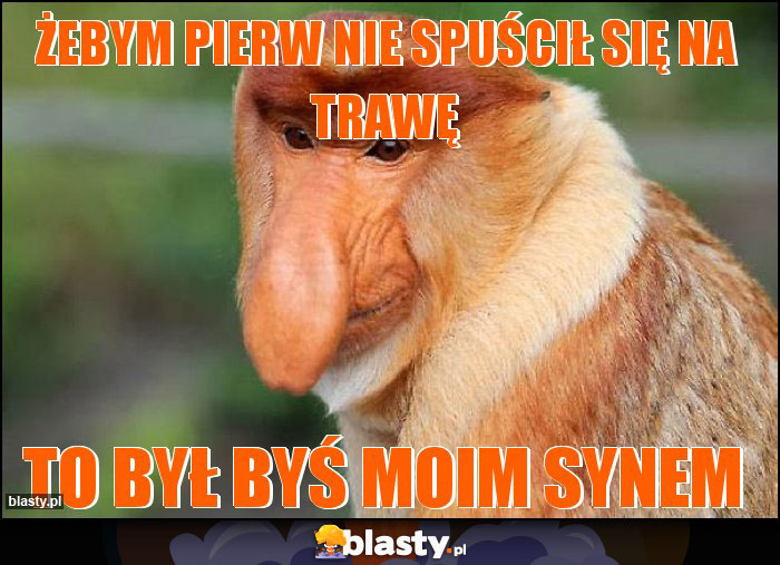 Żebym pierw nie spuścił się na trawę Żebym pierw nie spuścił się na trawę