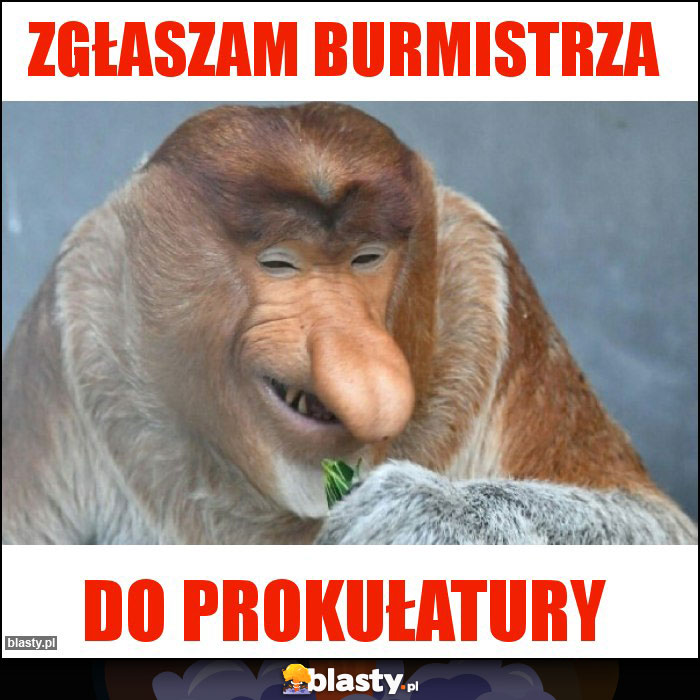 ZGŁASZAM BURMISTRZA ZGŁASZAM BURMISTRZA