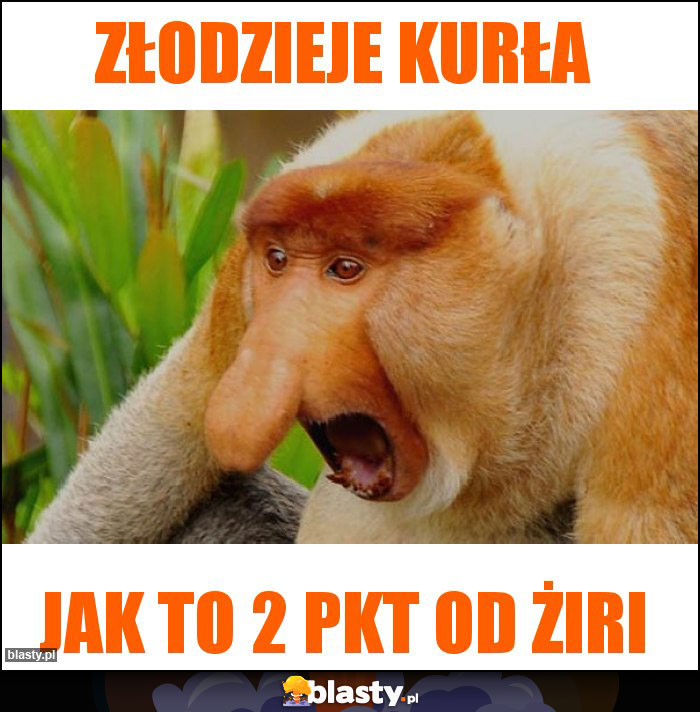 złodzieje kurła złodzieje kurła